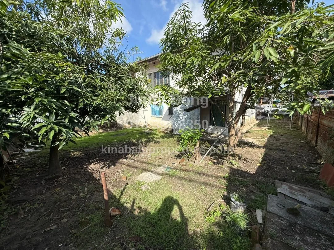 Back garden with grass and trees